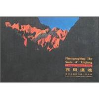 西风摄魂