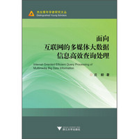 面向互联网的多媒体大数据信息高效查询处理