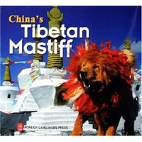 中国藏獒（英文版）