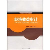 高等学校十一五规划教材：经济效益审计