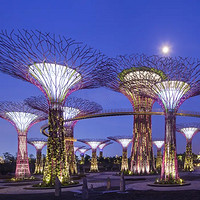 当地玩乐：高空视听盛宴！新加坡滨海湾花园+OCBC Skyway空中走廊门票+ 免费Red Dot Design博物馆门票