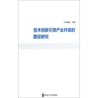 技术创新引领产业升级的路径研究