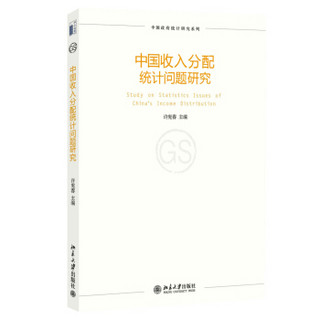 中国政府统计研究系列：中国收入分配统计问题研究