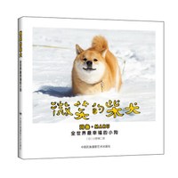 微笑的柴犬 全世界最幸福的小狗