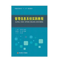 管理信息系统实践教程