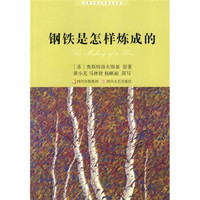 钢铁是怎样炼成的(新版)