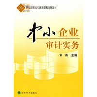 21世纪高职高专创新课程规划教材：中小企业审计实务（附练习册1本）