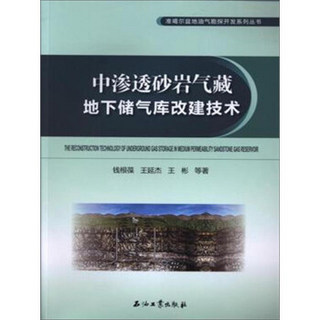 中渗透砂岩气藏地下储气库改建技术