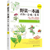 野菜一本通:识别·采摘·食用(彩绘版)