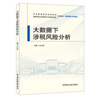 大数据下涉税风险分析(税收理论与实务类中共国家税务总局党校国家税务总局税务干部进修学院系列教材)