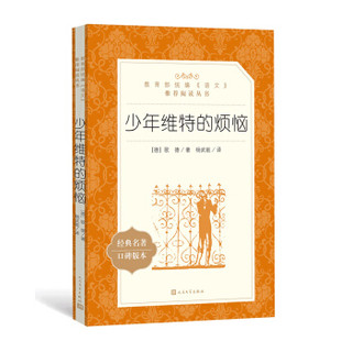少年维特的烦恼