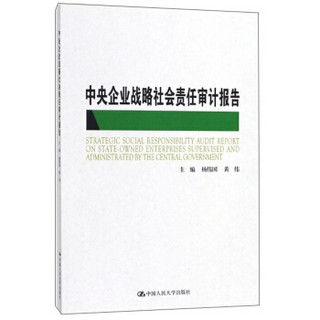 中央企业战略社会责任审计报告