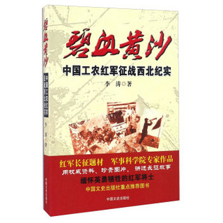 碧血黄沙 中国工农红军征战西北纪实