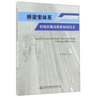 桥梁索体系特殊检测及维修加固技术