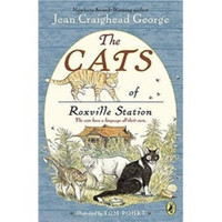 The Cats of Roxville Station