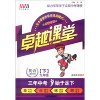 卓越课堂：英语（九年级下 人教新目标 本省专用 附拓展作业+检测卷）