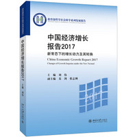 中国经济增长报告2017 新常态下的增长动力及其转换