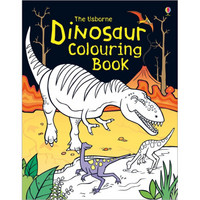 Dinosaur Colouring Book