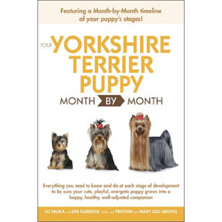 Your Yorkshire Terrier Puppy Month By Month