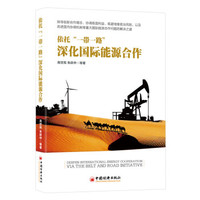 依托“一带一路”深化国际能源合作