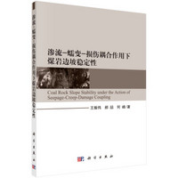 渗流-蠕变-损伤耦合作用下煤岩边坡稳定性