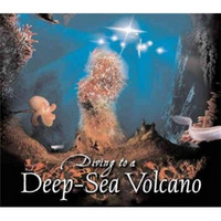 Diving to a Deep-Sea Volcano (Scientists in the Field Series)[探索深海火山]