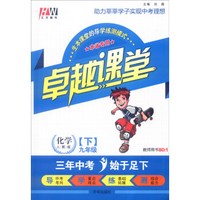 卓越课堂：化学（九年级下 人教版 本省专用 附拓展作业+检测卷）