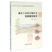 藏东玉龙斑岩铜矿床地质模型研究