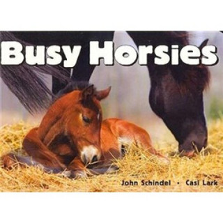 Busy Horsies (Busy Book)