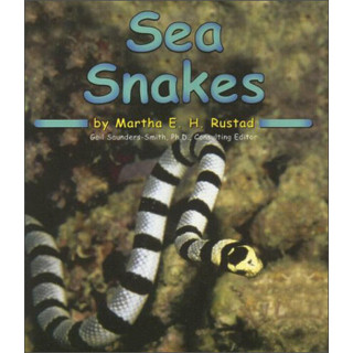 Sea Snakes (Ocean Life)