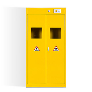 钱柜 钢制气瓶柜防爆柜安全柜 实验室医院用柜 黄色双瓶柜