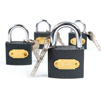 赛拓（SANTO）铁挂锁 水电表箱 50mm抽屉锁  支持订制通开钥匙款12个一箱 0075-12可定制