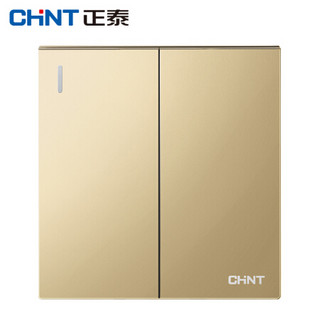 正泰（CHNT）NEW6 T07202 香槟金开关插座面板 家用二开多控开关16A