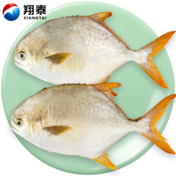 翔泰 冷冻二去金鲳鱼700g *5件