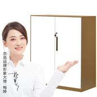 奈高 NG文件柜铁皮柜办公柜档案柜资料柜带锁凭证柜财务柜矮柜铁门对开咖啡色0.8mm