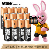 88VIP：DURACELL 金霸王 5号电池12粒装 本色