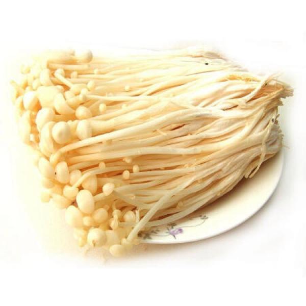 商品鲜特莱 企业餐饮装 黄金针菇1kg