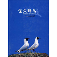 包头野鸟