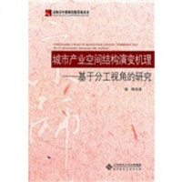 城市产业空间结构演变机理：基于分工视角的研究