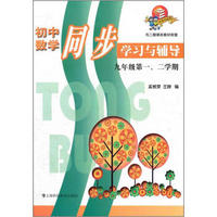 初中数学同步学习与辅导：9年级第1、2学期（与二期课改教材配套）