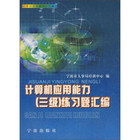微机原理与操作简明教程：计算机应用能力（三级）练习题汇编