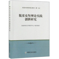 脱贫攻坚理论实践创新研究