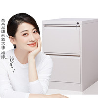 奈高 NG文件柜卡箱办公柜挂劳资料柜储物柜二斗卡箱灰白色