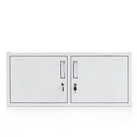 钱柜文件柜铁皮柜矮柜储物柜办公柜档案柜资料柜 390雅白二门柜