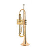 Handel 亨德尔 降b调小号乐器HTR-601型初学考级演奏级黄铜磷铜爵士管乐器新品