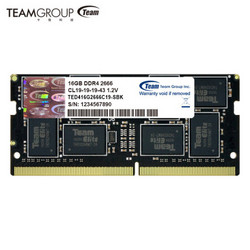 Team 十铨 ELITF DDR4 2666 笔记本内存条 16GB