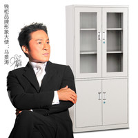 钱柜大器械柜钢制文件柜铁皮柜办公柜储物柜资料凭证柜档案柜