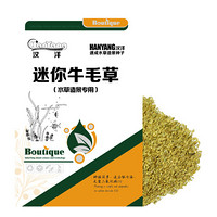 HANYANG 汉洋 迷你牛毛草种子10g 水草种子 鱼缸造景装饰 草缸用品