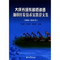 大庆长垣东部低渗透油田开发技术实践论文集（2008—2010年）
