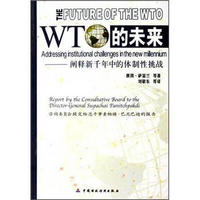 WTO的未来：阐释新千年中的体制性挑战